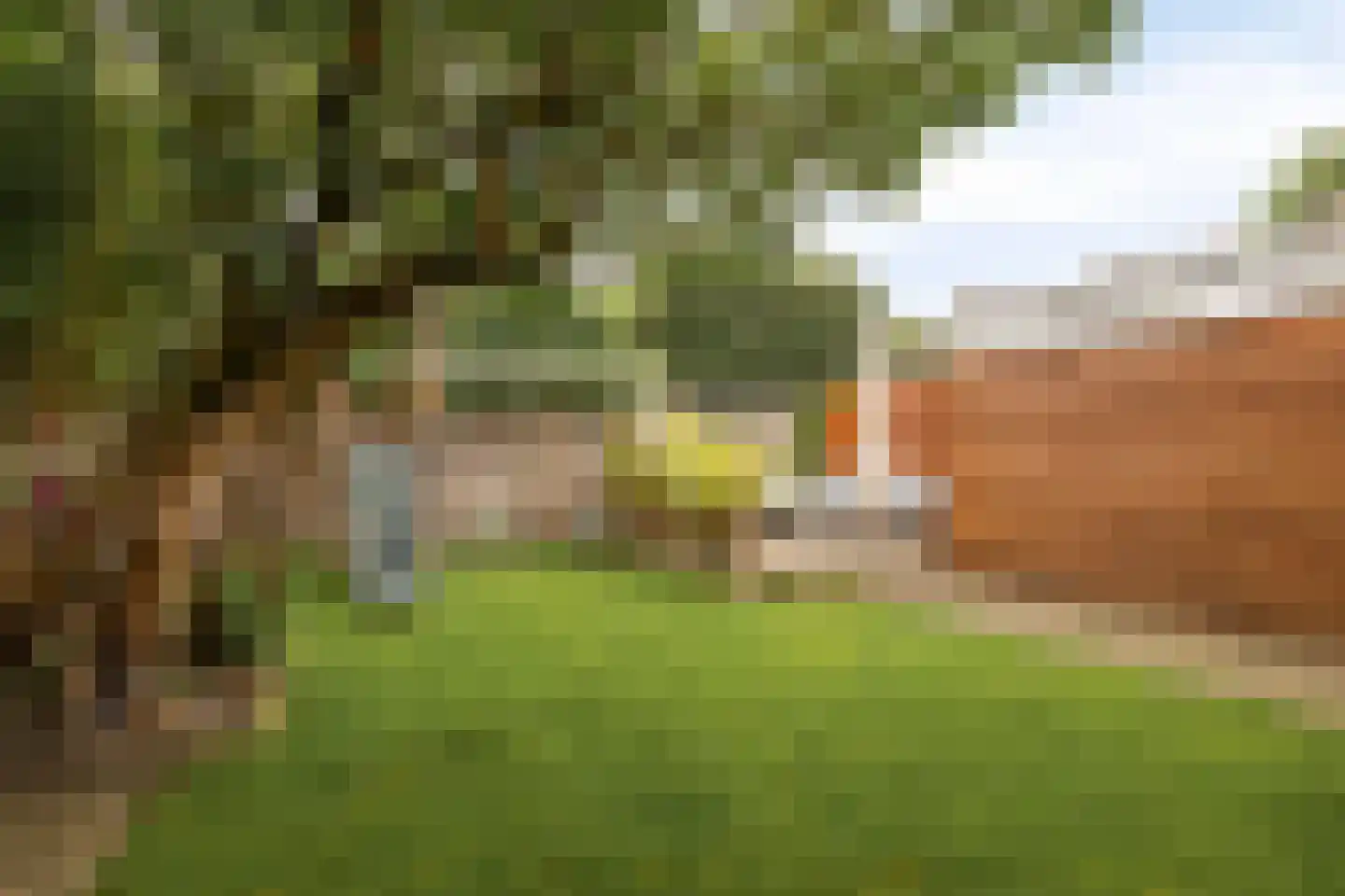 Mimosastraat 2 Maarheeze thumbnail 45
