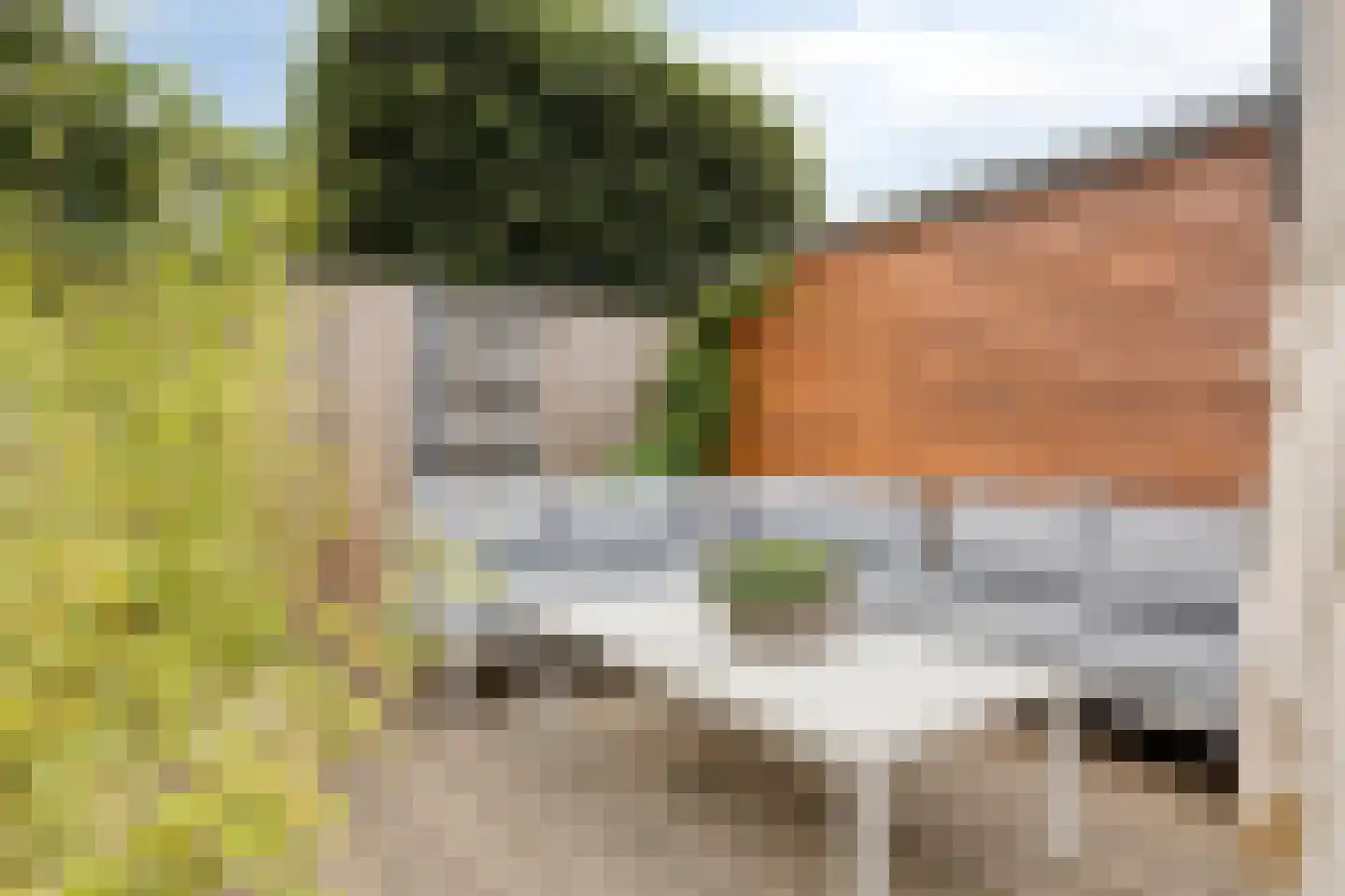 Mimosastraat 2 Maarheeze thumbnail 46