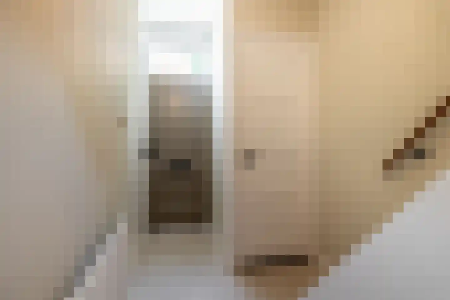 Mimosastraat 22 Breda thumbnail 10