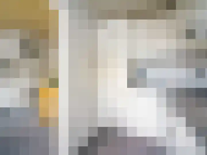 Mimosastraat 22 Breda thumbnail 10
