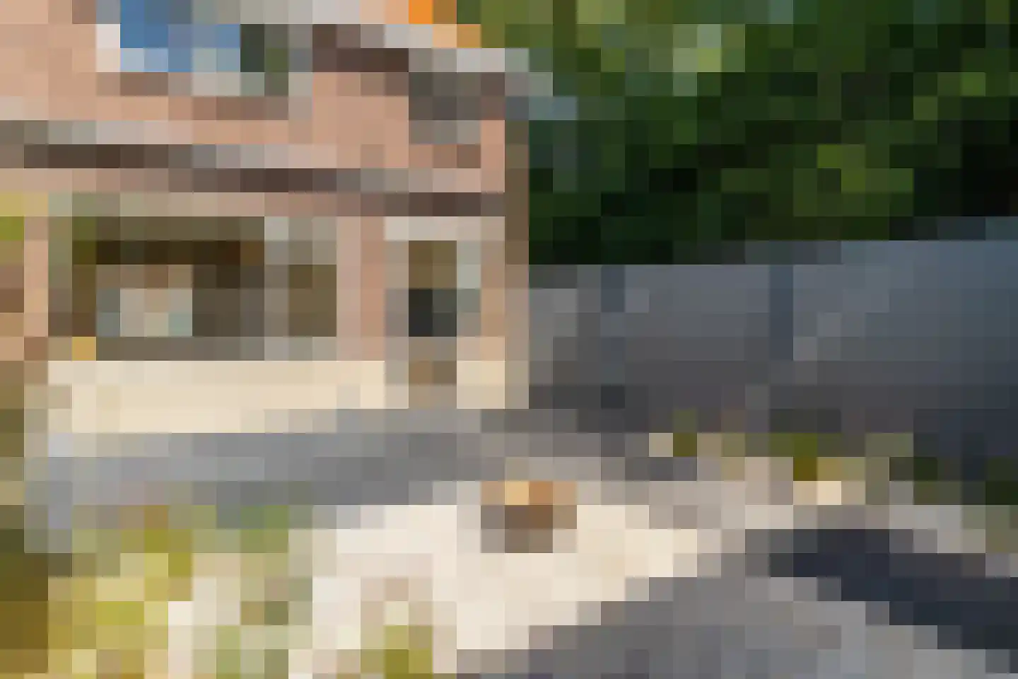 Mimosastraat 22 Breda thumbnail 23