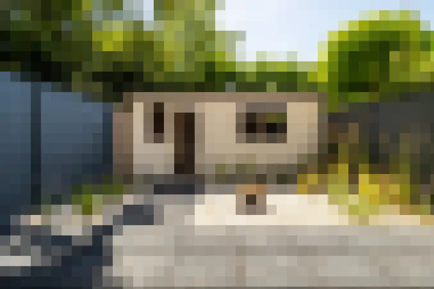 Mimosastraat 22 Breda thumbnail 24