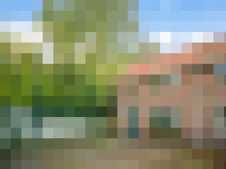 Mimosastraat 22 Breda thumbnail 24