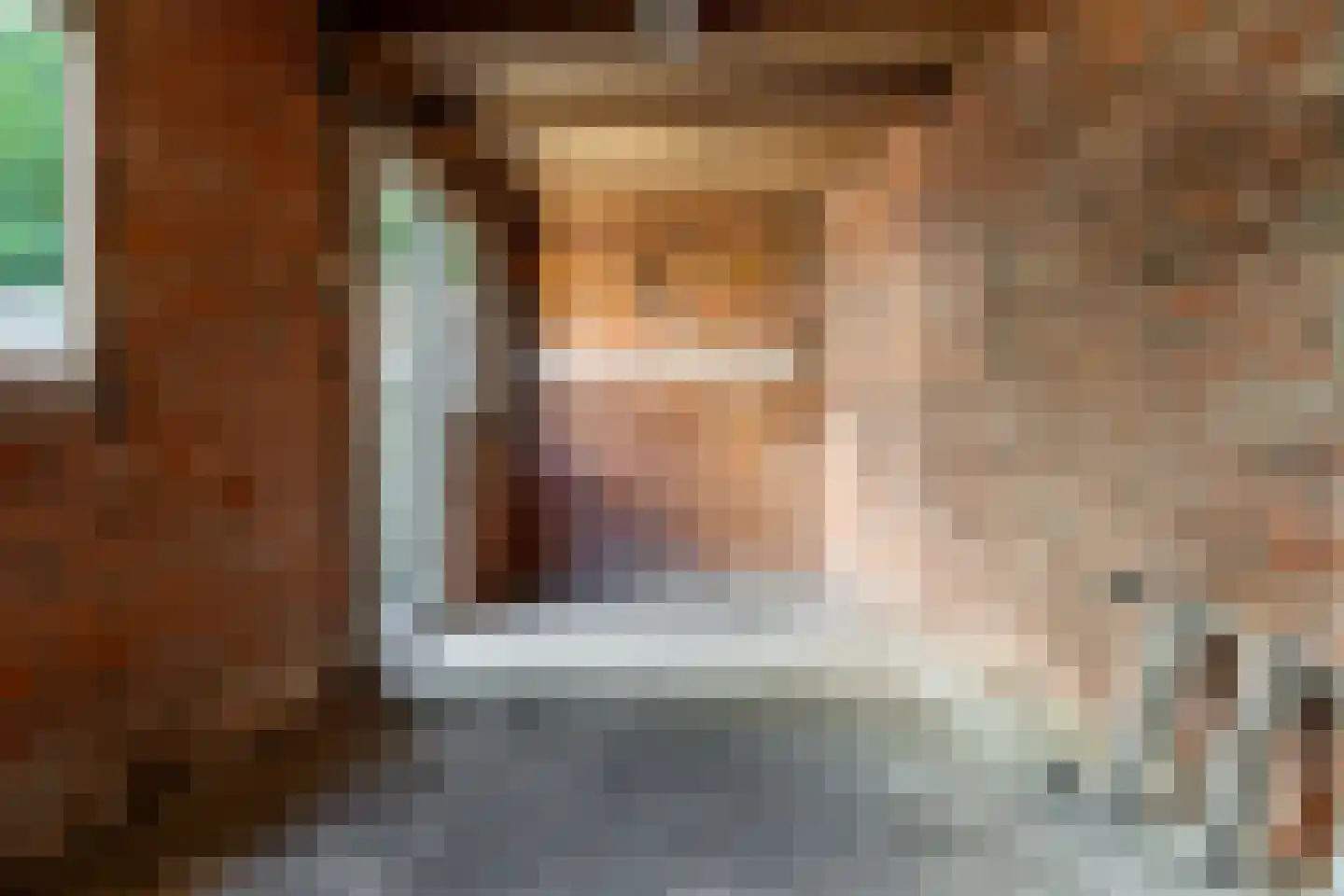 Mimosastraat 22 Breda thumbnail 26