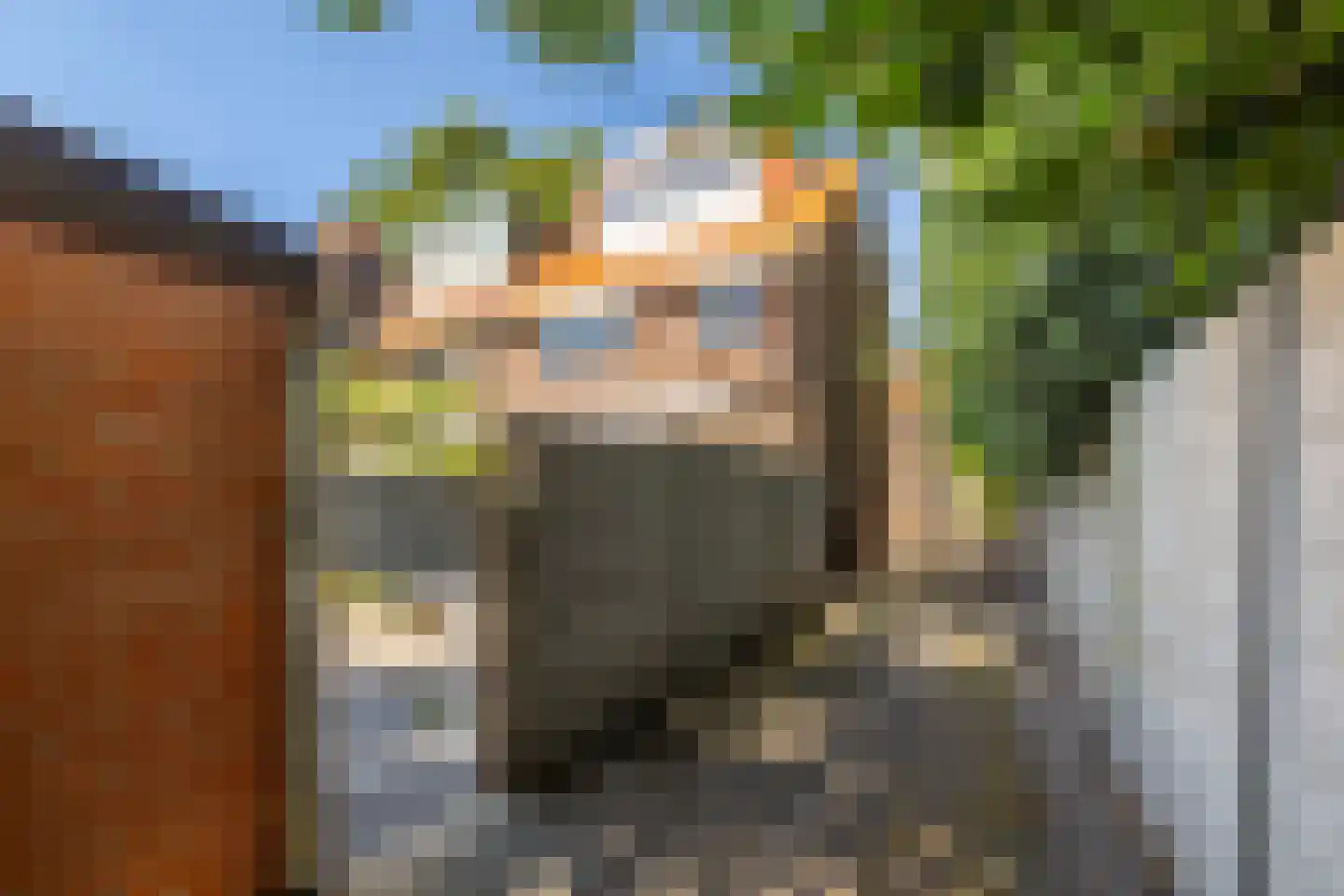 Mimosastraat 22 Breda thumbnail 27