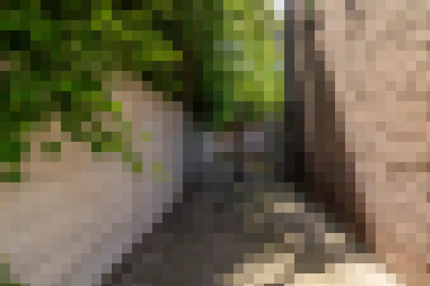 Mimosastraat 22 Breda thumbnail 28