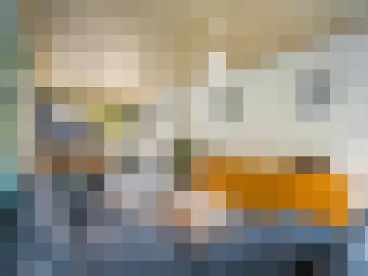 Mimosastraat 22 Breda thumbnail 4