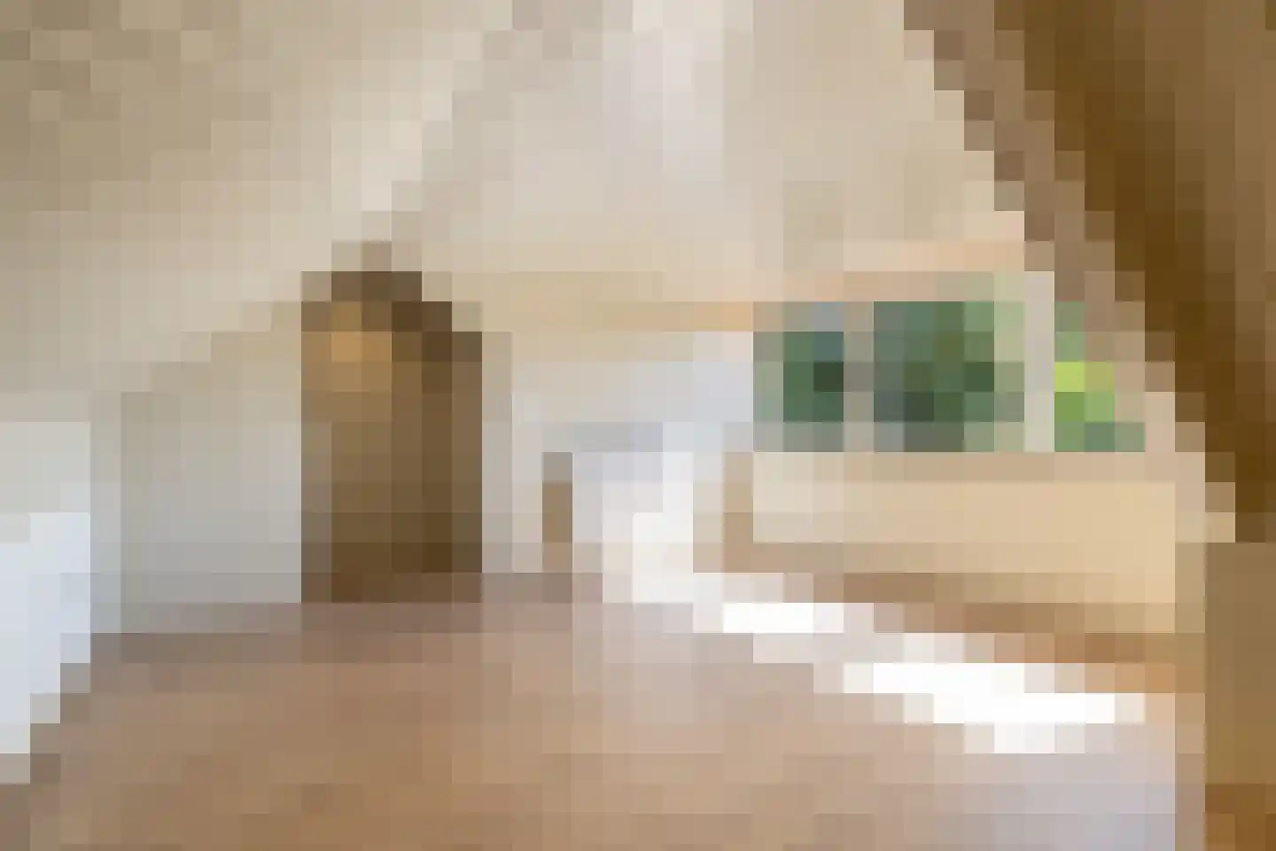 Mimosastraat 22 Breda thumbnail 43