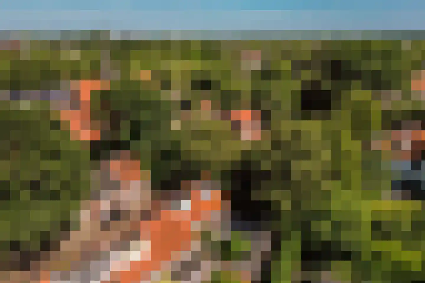 Mimosastraat 22 Breda thumbnail 47