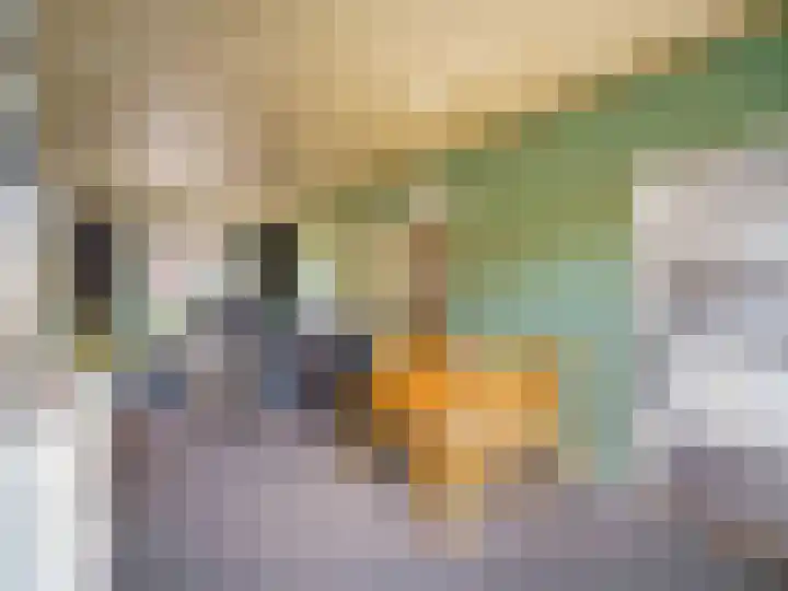 Mimosastraat 22 Breda thumbnail 8