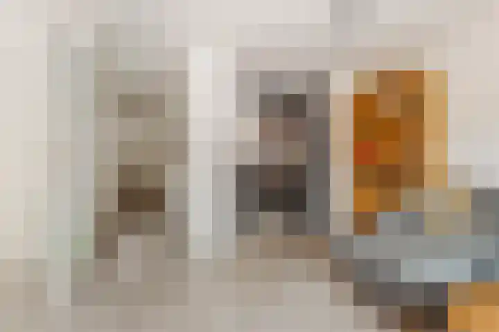 Mimosastraat 27 Utrecht thumbnail 13