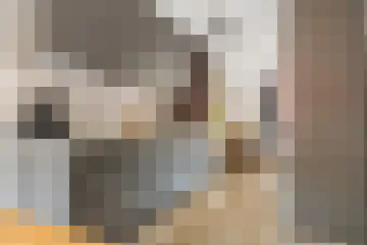 Mimosastraat 27 Utrecht thumbnail 15