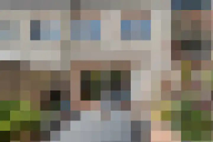 Mimosastraat 27 Utrecht thumbnail 31
