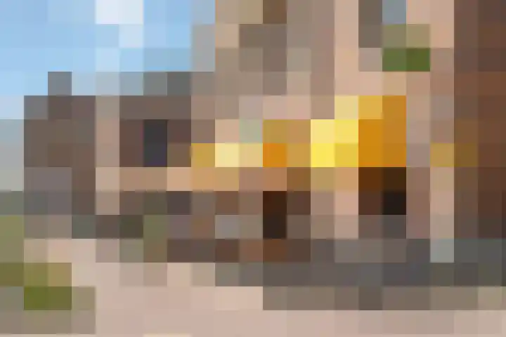 Mimosastraat 27 Utrecht thumbnail 36