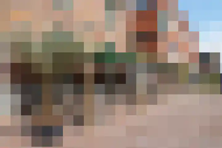 Mimosastraat 27 Utrecht thumbnail 37