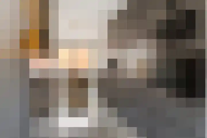 Mimosastraat 27 Utrecht thumbnail 4