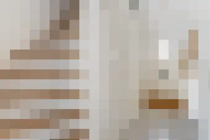 Mimosastraat 27 Utrecht thumbnail 9