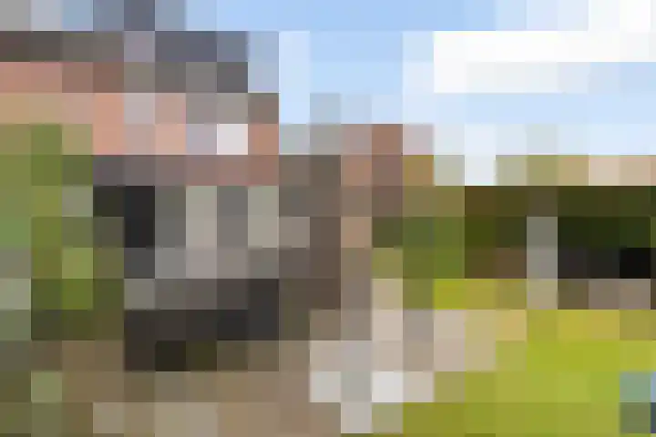 Mimosastraat 28 Weert thumbnail 30