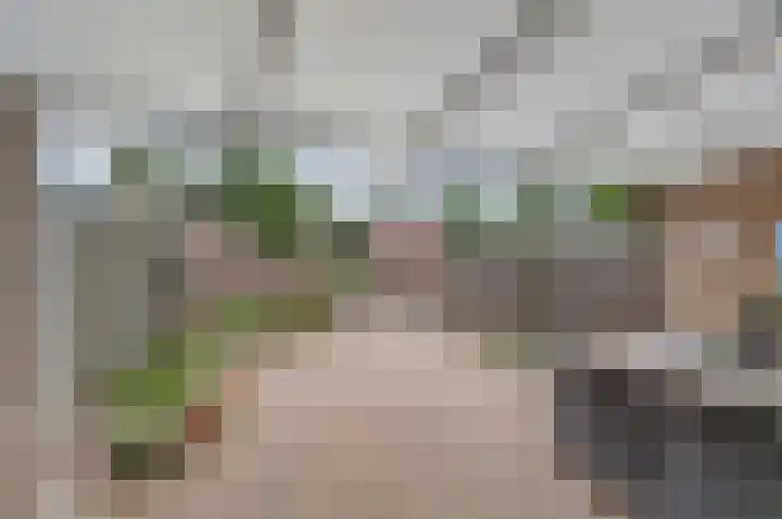 Mimosastraat 33 Venlo thumbnail 18
