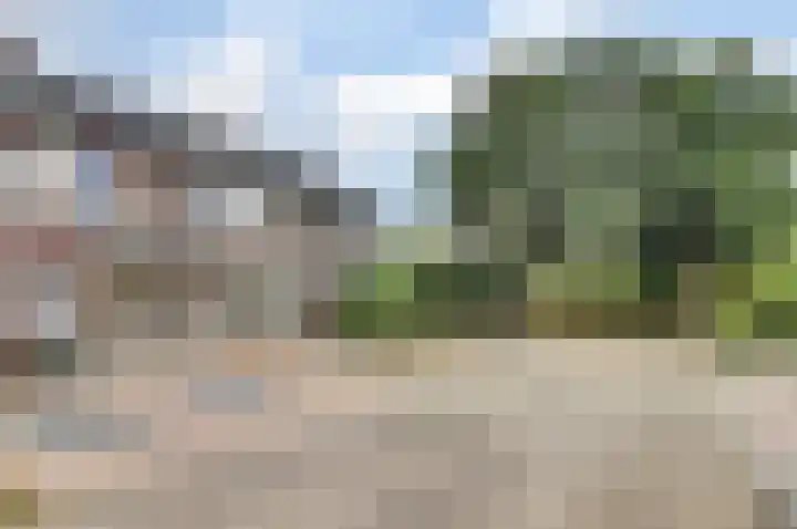 Mimosastraat 33 Venlo thumbnail 22