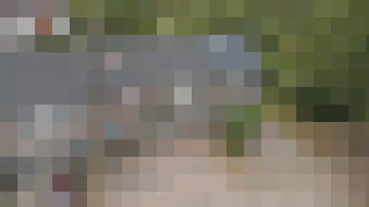 Mimosastraat 33 Venlo thumbnail 23