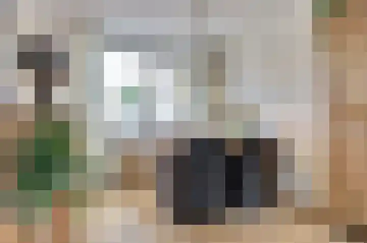 Mimosastraat 33 Venlo thumbnail 5