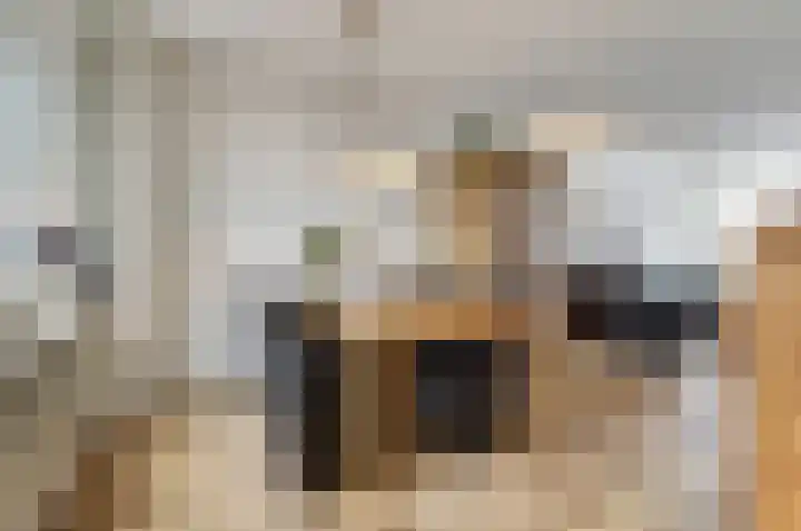 Mimosastraat 33 Venlo thumbnail 6
