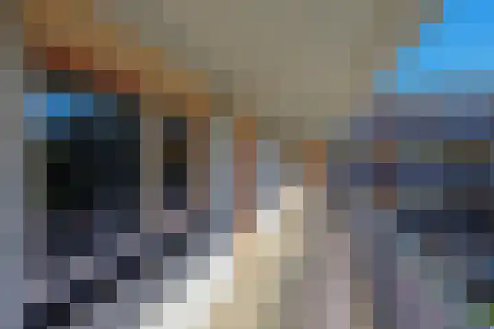 Mimosastraat 35 Utrecht thumbnail 27