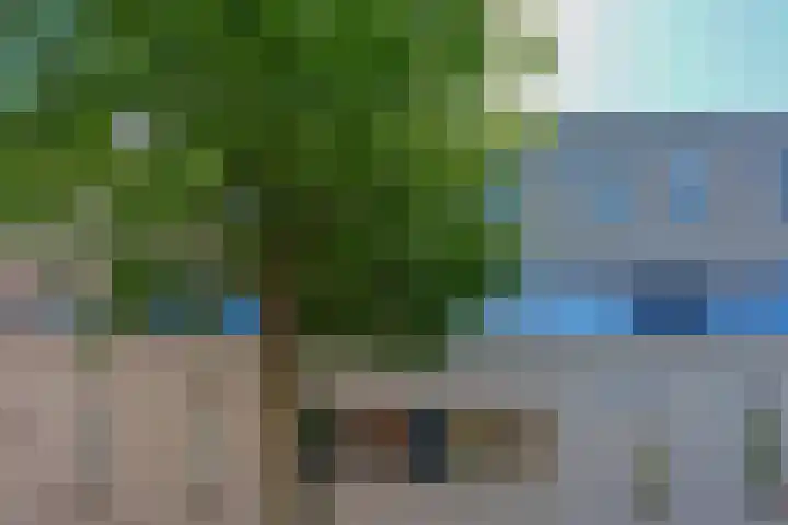 Mimosastraat 35 Utrecht thumbnail 32