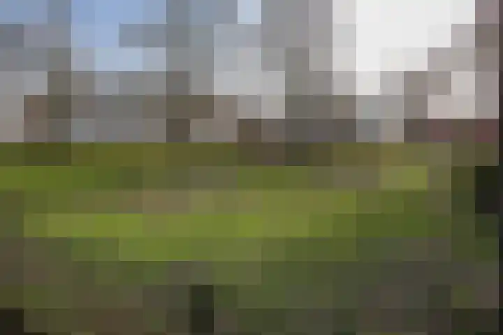 Mimosastraat 35 Utrecht thumbnail 35