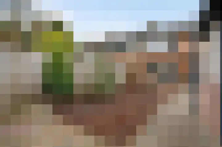 Mimosastraat 4 Maarheeze thumbnail 17