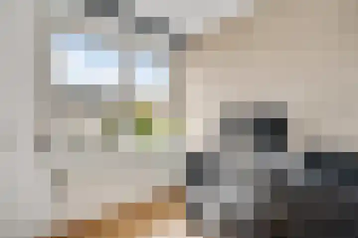 Mimosastraat 4 Maarheeze thumbnail 23