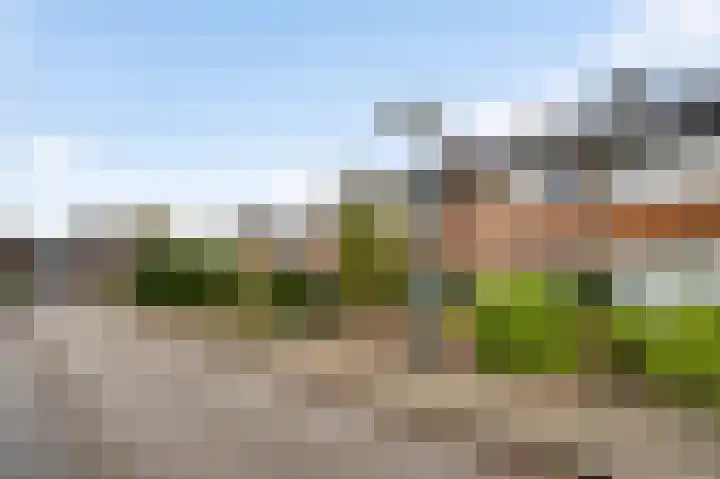 Mimosastraat 4 Maarheeze thumbnail 4