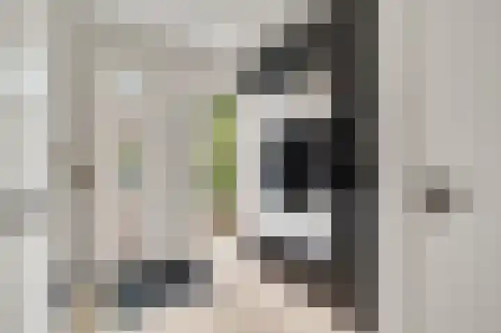 Mimosastraat 4 Maarheeze thumbnail 5