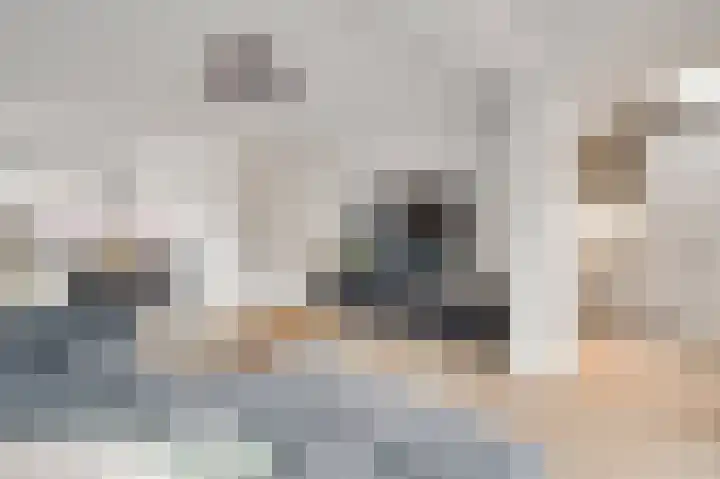 Mimosastraat 4 Maarheeze thumbnail 9