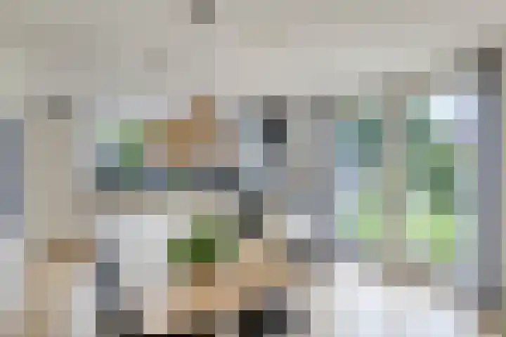 Mimosastraat 4 Rosmalen thumbnail 11