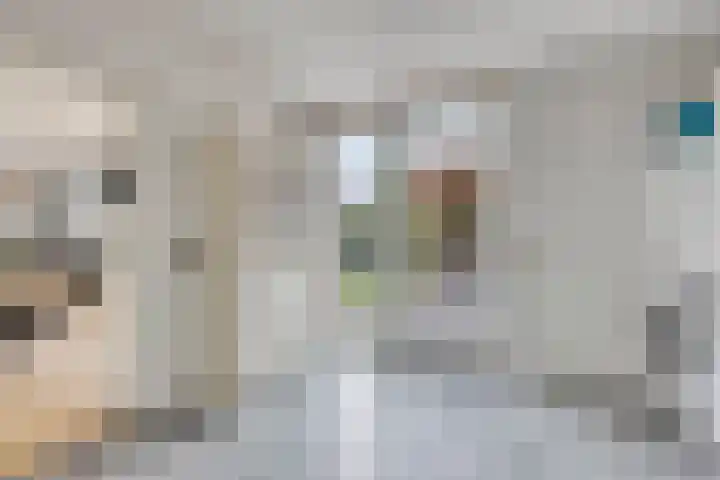 Mimosastraat 4 Rosmalen thumbnail 14