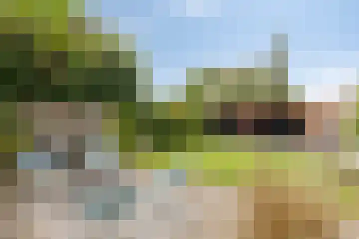 Mimosastraat 4 Rosmalen thumbnail 15