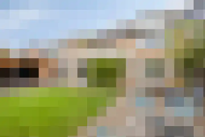 Mimosastraat 4 Rosmalen thumbnail 17
