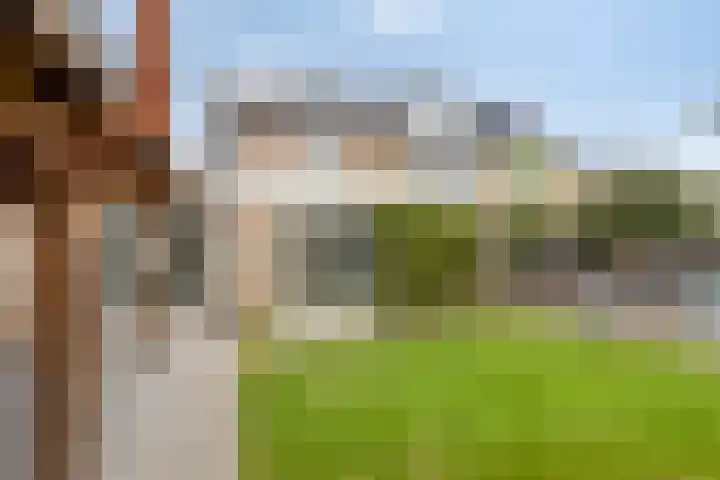 Mimosastraat 4 Rosmalen thumbnail 18