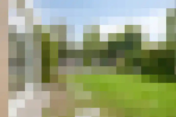 Mimosastraat 4 Rosmalen thumbnail 19