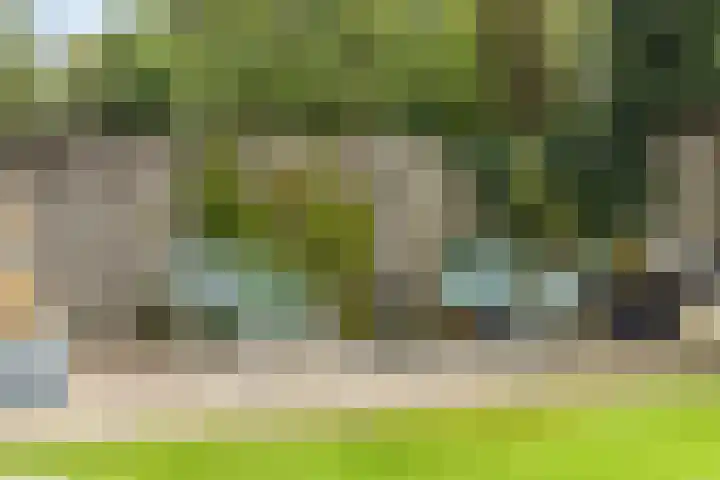 Mimosastraat 4 Rosmalen thumbnail 20