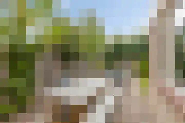 Mimosastraat 4 Rosmalen thumbnail 21