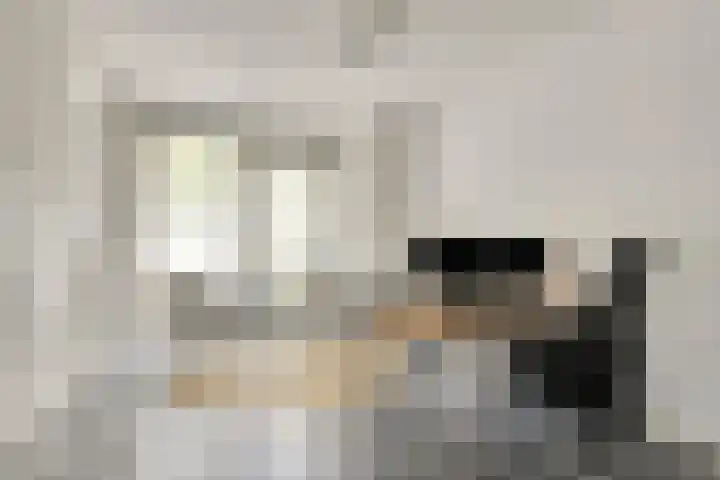 Mimosastraat 4 Rosmalen thumbnail 22