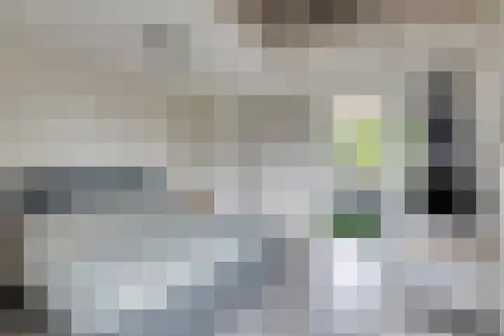 Mimosastraat 4 Rosmalen thumbnail 26