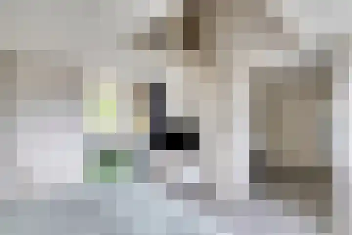 Mimosastraat 4 Rosmalen thumbnail 29