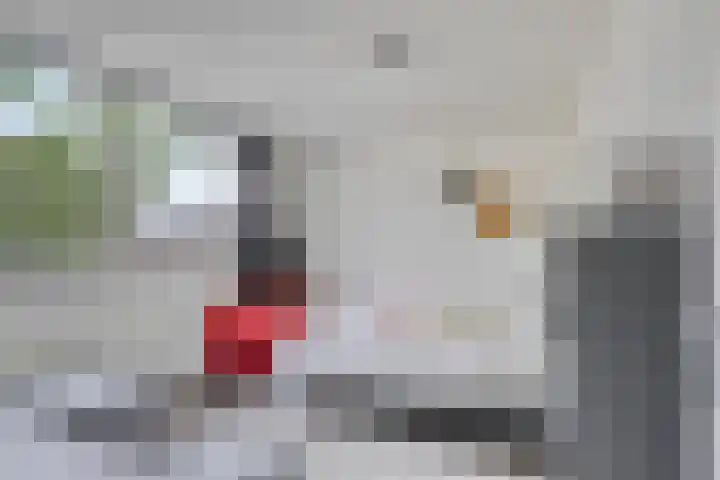 Mimosastraat 4 Rosmalen thumbnail 31