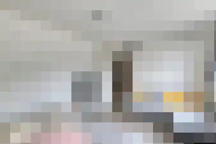 Mimosastraat 4 Rosmalen thumbnail 32