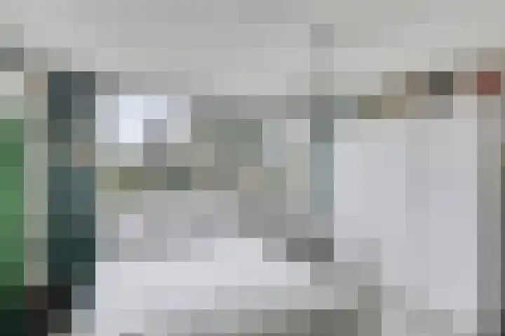 Mimosastraat 4 Rosmalen thumbnail 34