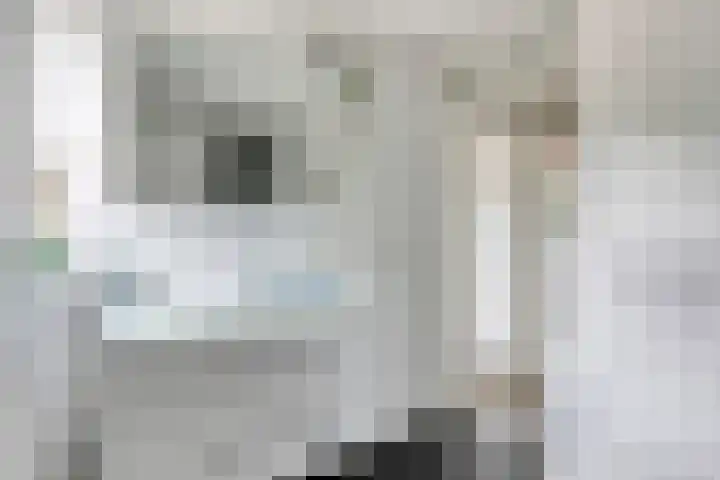 Mimosastraat 4 Rosmalen thumbnail 36